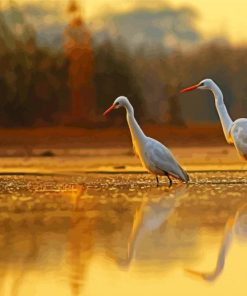Cute Egrets paint by numbers