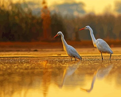 Cute Egrets paint by numbers