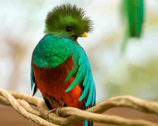 Cute Quetzal paint by numbers
