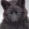 Cute Black Wolf paint by numbers