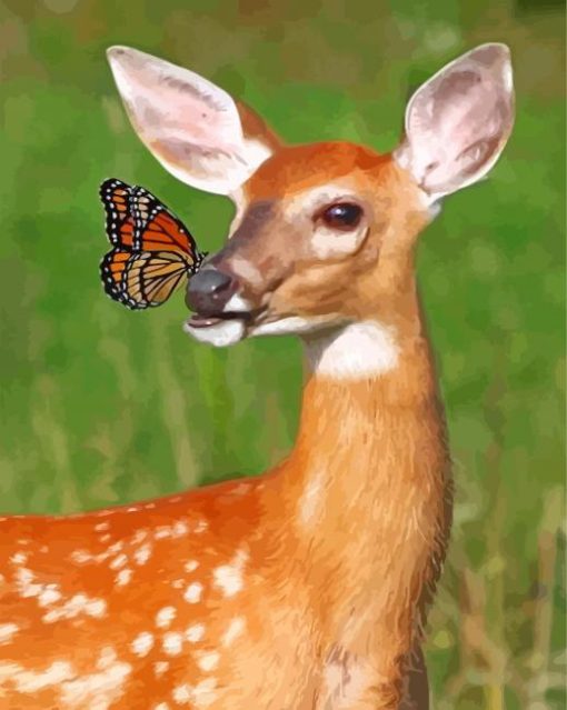 Doe and Monarch Butterfly paint by numbers
