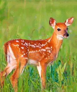 Doe Deer paint by numbers