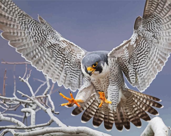 Flying Falcon paint by numbers