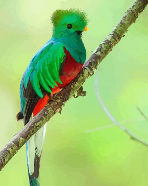 Green Quetzal paint by numbers