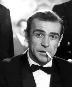 James Bond Young Sean Connery paint by numbers