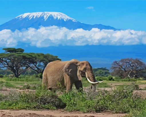 Kilimandjaro paint by numbers