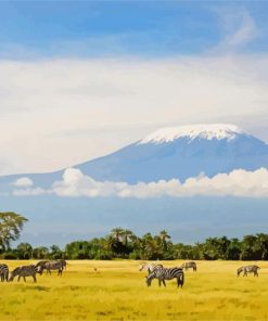 Kilimanjaro Tanzania paint by numbers