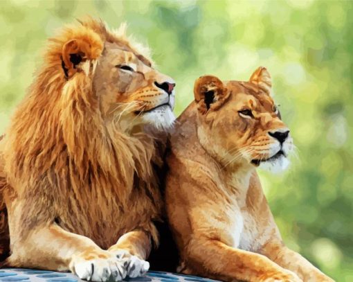 Lion and Lioness paint by numbers