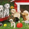 Puppies Party paint by numbers
