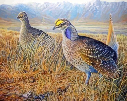 Sharp Tailed Grouse Birds paint by numbers