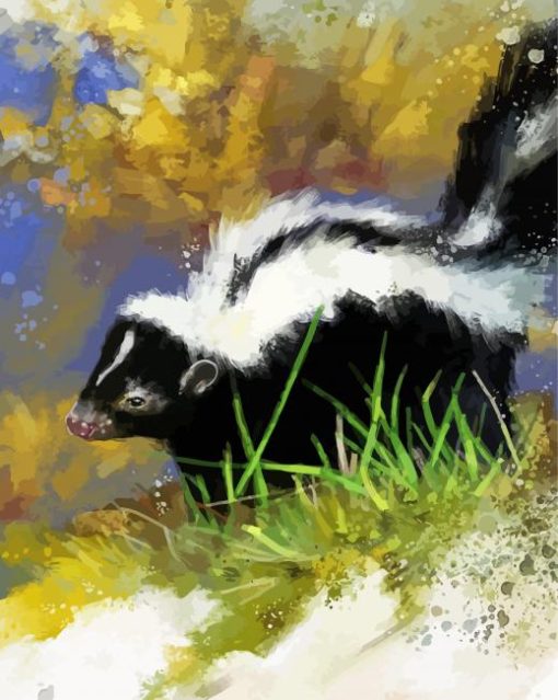 Skunk Animal paint by numbers