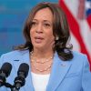 Vice President of the United States Kamala Harris paint by numbers