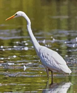 White Egret paint by numbers