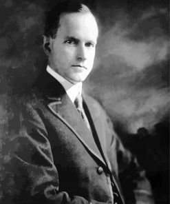 Young Calvin Coolidge paint by numbers
