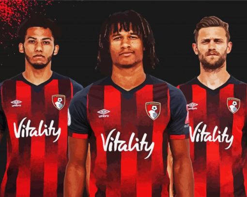 AFC Bournemouth Footballers paint by numbers