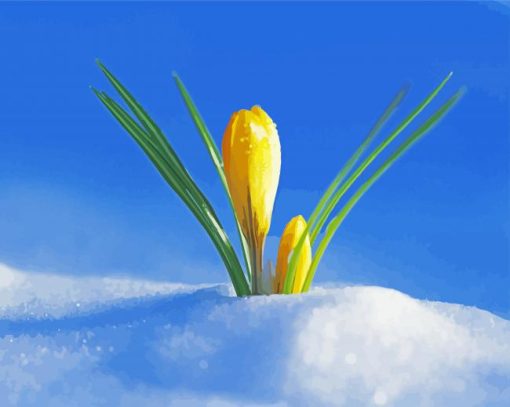Adorable Spring Flower in Snow paint by numbers