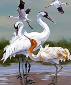 Aesthetic Abstract Cranes Birds paint by numbers