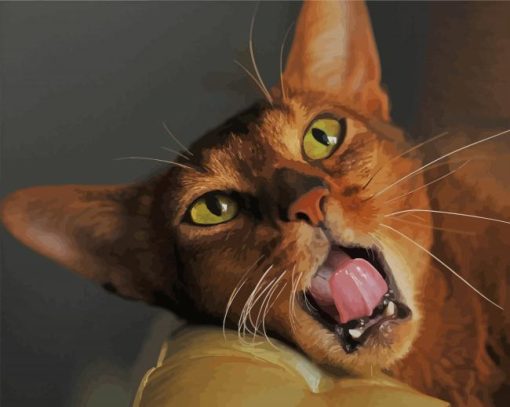 Aesthetic Abyssinian Cat paint by numbers