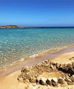 Aesthetic Fig Tree Bay Beach paint by numbers