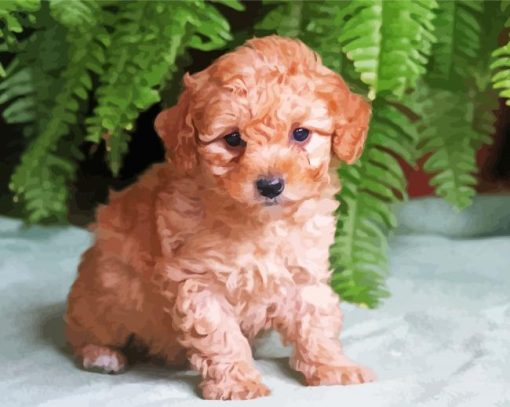 Aesthetic Maltipoo Puppy paint by numbers