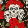 Aesthetic Skulls and Roses paint by numbers