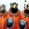 Animals Astronauts paint by numbers