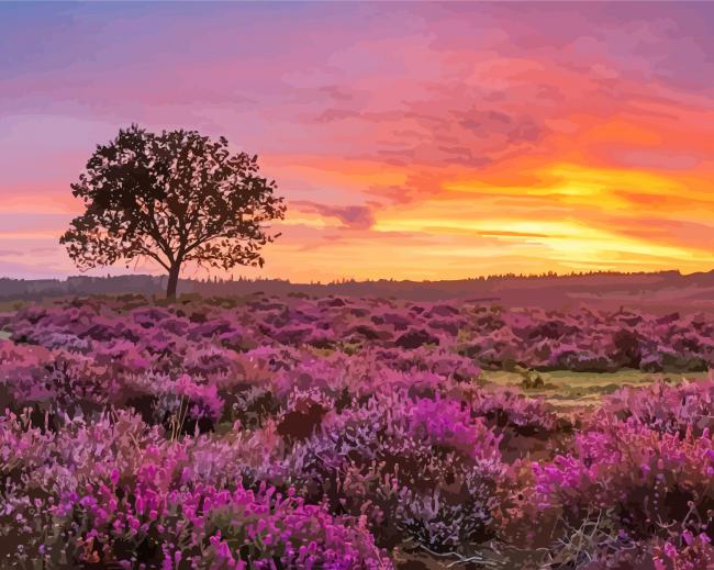 Beautiful New Forest National Park paint by numbers
