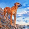 Black Mouth Cur Dog Animal paint by numbers