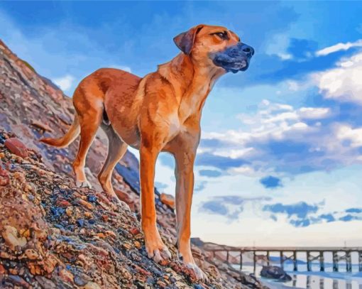 Black Mouth Cur Dog Animal paint by numbers
