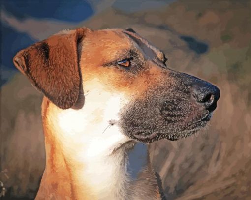 Black Mouth Cur Puppy Face paint by numbers