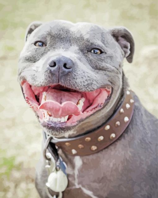 Grey Staffy Dog paint by numbers