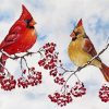 Cardinal Birds and Red Berries paint by numbers