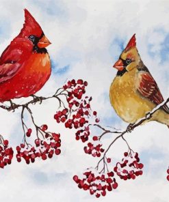 Cardinal Birds and Red Berries paint by numbers