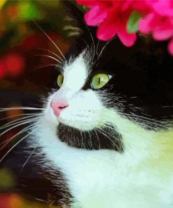 Cute Tuxedo Cat paint by numbers