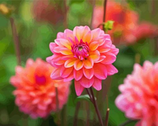 Dahlia Coral Flower paint by numbers