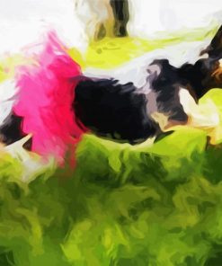 Dog in Tutu with Laser Eyes paint by numbers