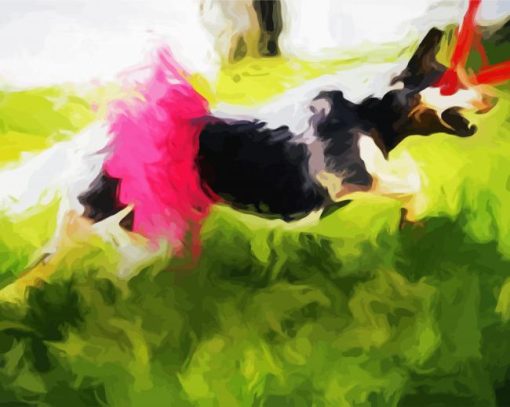 Dog in Tutu with Laser Eyes paint by numbers