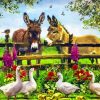 Donkeys and Geese and Flowers paint by numbers