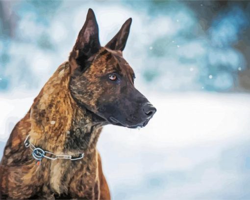 Dutch Shepherd Dog paint by numbers