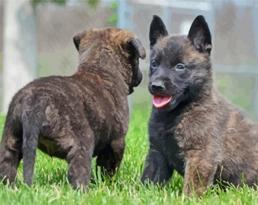 Dutch Shepherd Puppies paint by numbers