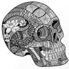 Head Skull Zentangle paint by numbers