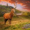 Highland Landscape with Stag paint by numbers
