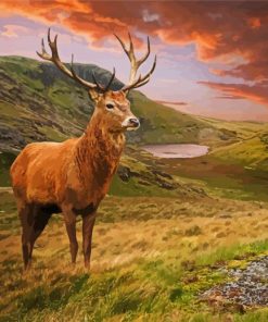 Highland Landscape with Stag paint by numbers