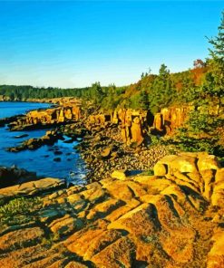 Maine Coast Landscape paint by numbers