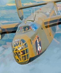 Military B 24 Bomber paint by numbers