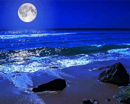 Moon and Beach paint by numbers