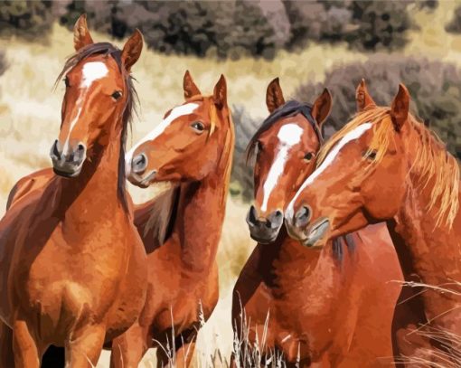 Native Brown Horses paint by numbers