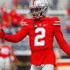 Ohio State Buckeyes Player paint by numbers
