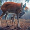 Realistic Deer Animal paint by numbers