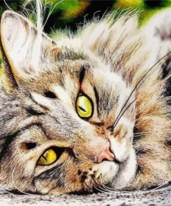 Realistic Cat Animal paint by numbers